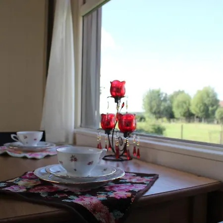 Pipowagen De Molenkreek Luxusní stan